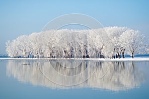 Winter landscape