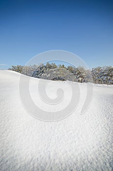 Winter landscape