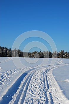 Winter landscape