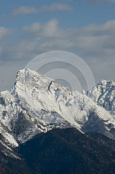 Winter landscape