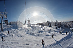 Winter landscape