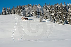 Winter Landscape