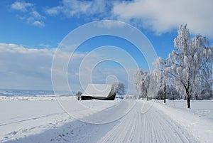 Winter landscape