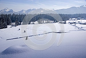 Winter landscape