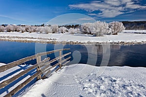 Winter landscape