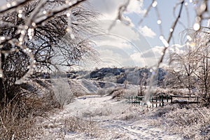 Winter landscape