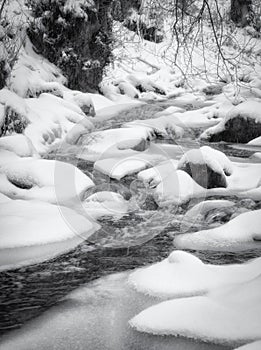 Winter Landscape