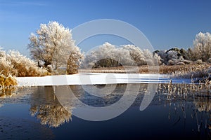 Winter landscape