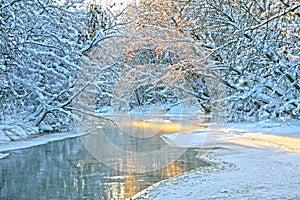 Winter landscape