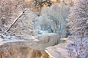 Winter landscape