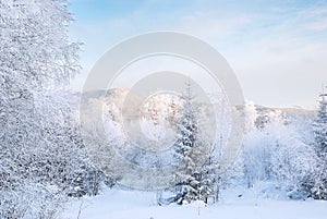 Winter Landscape