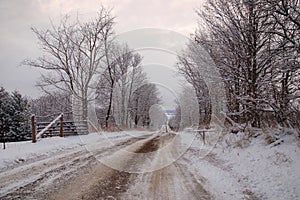 Winter landscape