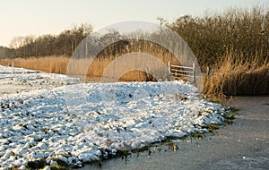 Winter landscape