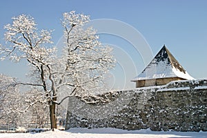 Winter landscape