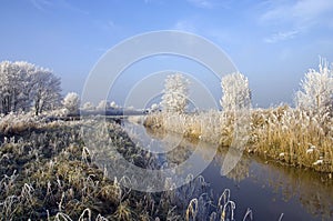 Winter landscape photo