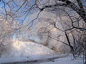 Winter landscape
