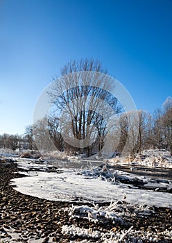 Winter landscape