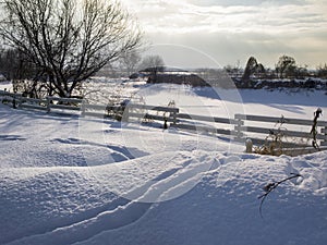 The winter landscape