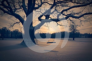 Winter Landscape with Abandoned Tree Swing