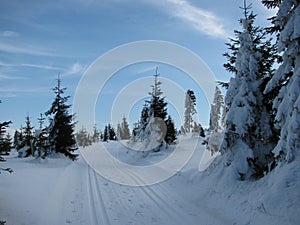 Winter landscape along the tracks for cross-country skiing