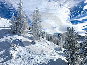 Winter landscape. Alta ski resort.