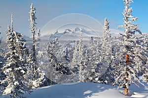 Winter landscape of altai mountains photo