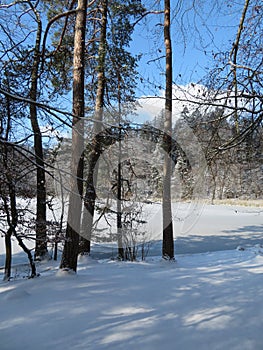 Winter landscape around the LangbÃ¼rgner See in Bavaria