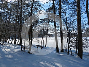 Winter landscape around the LangbÃ¼rgner See in Bavaria