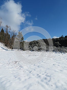 Winter landscape around the LangbÃ¼rgner See in Bavaria