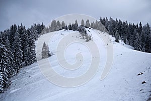 Winter landscape between Azuga and Grecul peak towards Gura Diham chalet.