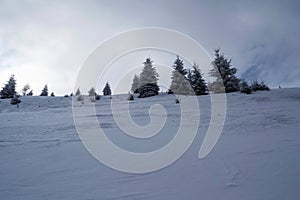 Winter landscape between Azuga and Grecul peak towards Gura Diham chalet