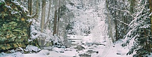 Winter landscape, banner - view of the river in the winter forest