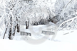 Winter landscape with bare trees and small bridge covered with snow