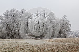 Winter landscape in Bavaria