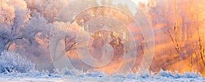 Winter landscape. Beautiful Christmas morning outdoors. Winter forest with bright sunshine and sunbeams. Panorama of frosty winter