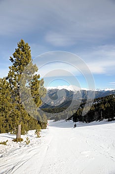 Winter landscape - fir tree in the background of mountains and blue sky, VallNord, Principality of Andorra, eastern Pyrenees, Euro photo
