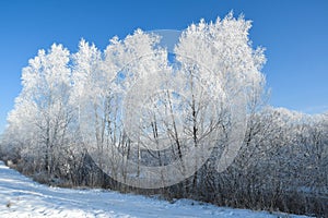 Winter Landscape with beautiful hoarfrost and rime on trees