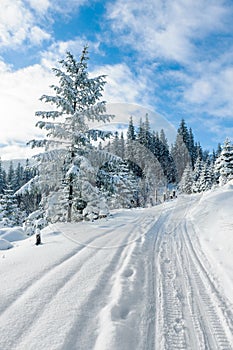 Winter landscape in Beskid Zywiecki- Poland
