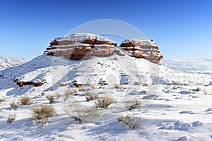 Winter landscape Big Horn N.P.