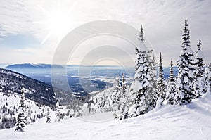 Winter Landscape on Big Mountain in Montana