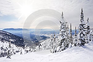 Winter Landscape on Big Mountain in Montana photo
