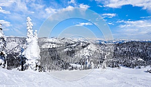 Winter Landscape on Big Mountain in Whitefish, Montana, USA photo