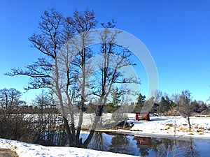 Winter landscape with big tree, still river with reflection, small cabin, snow field and trees on the background