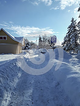 Winter landscape with big trees in a park and a pedestrian road covered with snow, and a small building with snowy roof after a