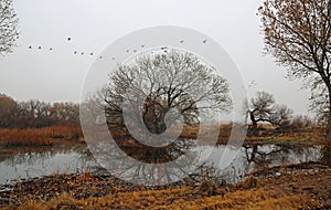 Winter landscape in Bosque