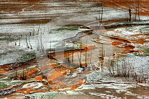 Winter landscape in the bourbogne - France photo