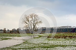 Winter landscape in Bourgoyen nature reserve, Ghent, Belgium