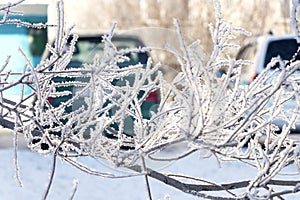 Winter landscape. Branches of trees covered with frost on blue sky background