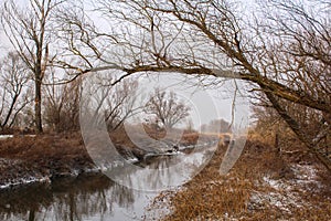 WInter landscape - a brook with trees and other vegetation and rest of the melted snow