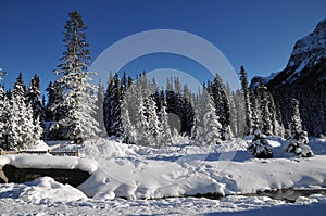 Winter landscape of canada in Banff National Park